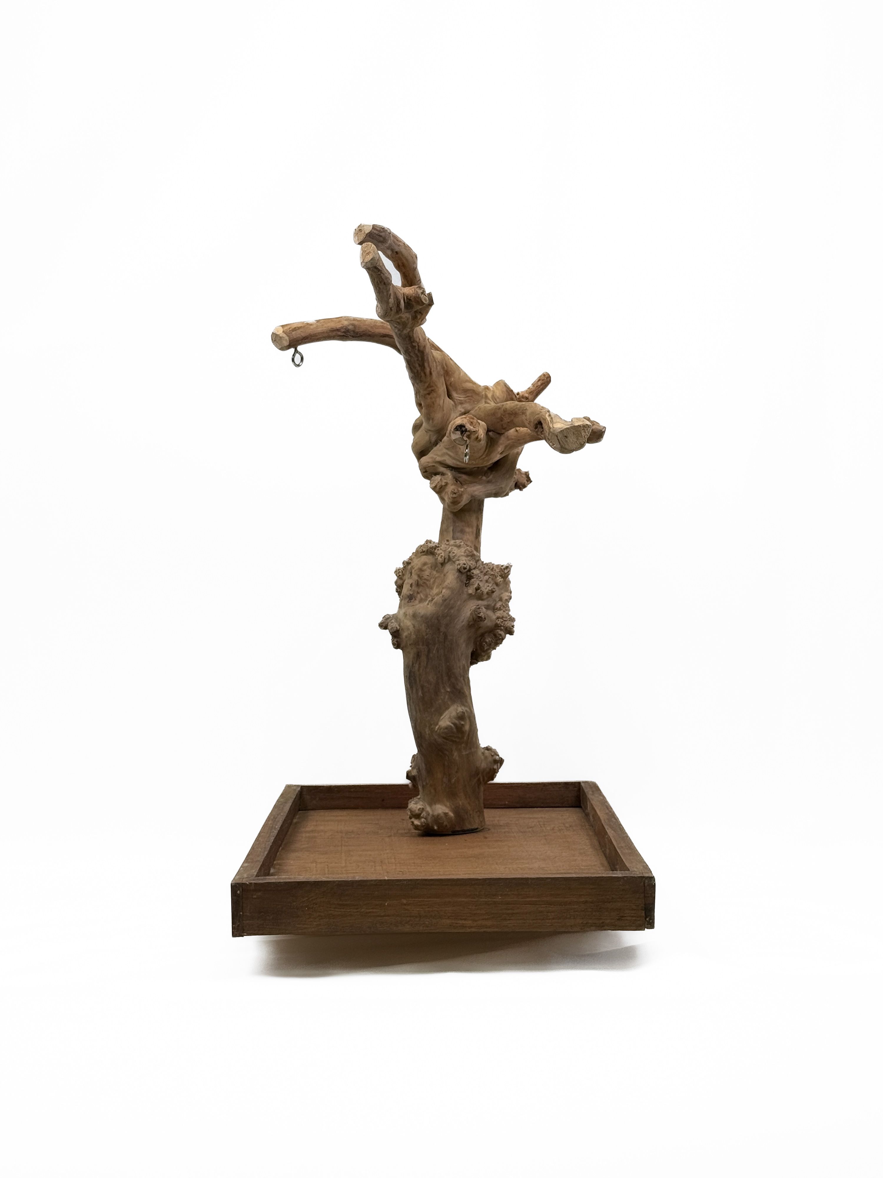 Tabletop Java Tree Activity Play Stand