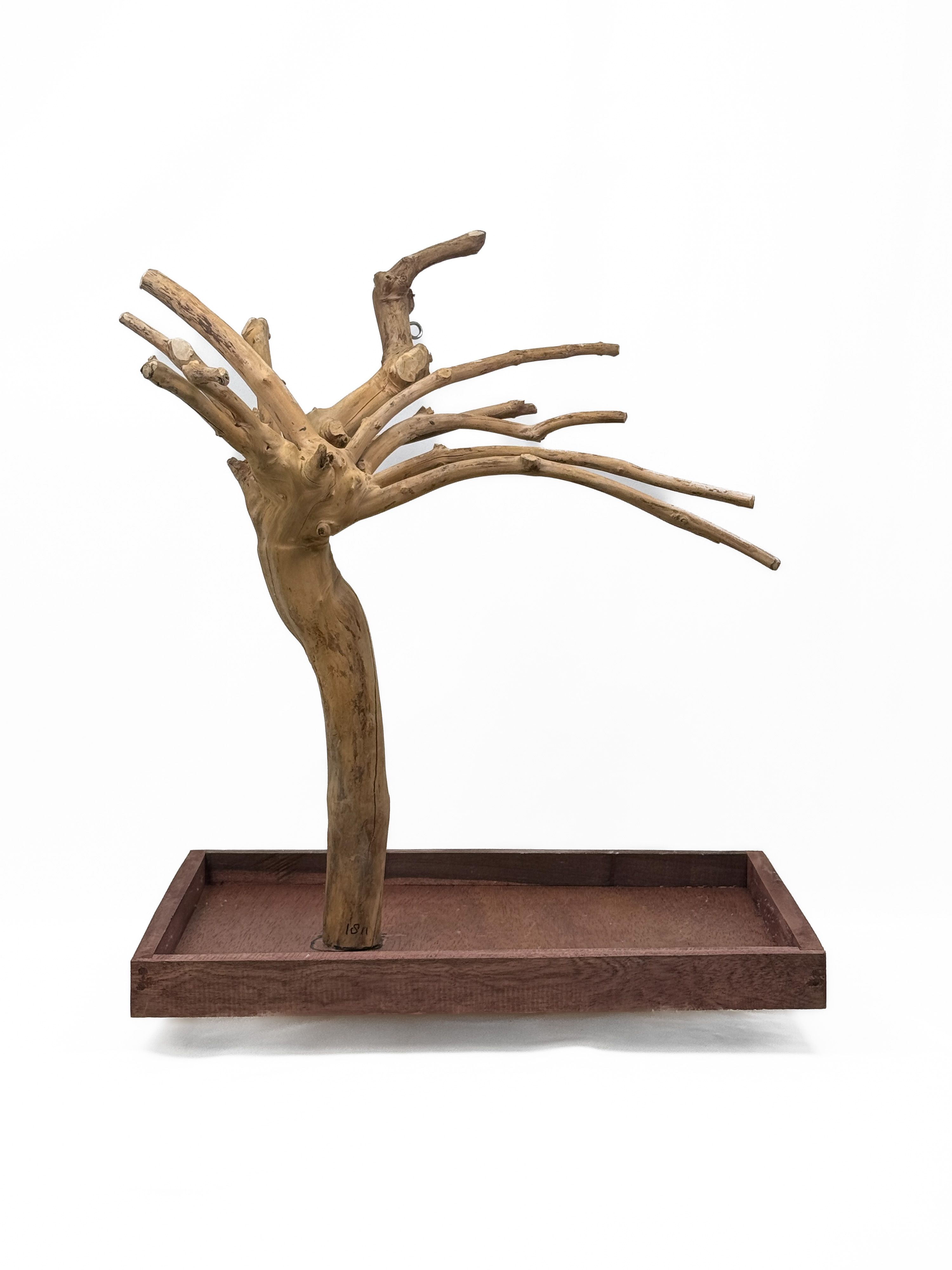 Tabletop Java Tree Activity Play Stand