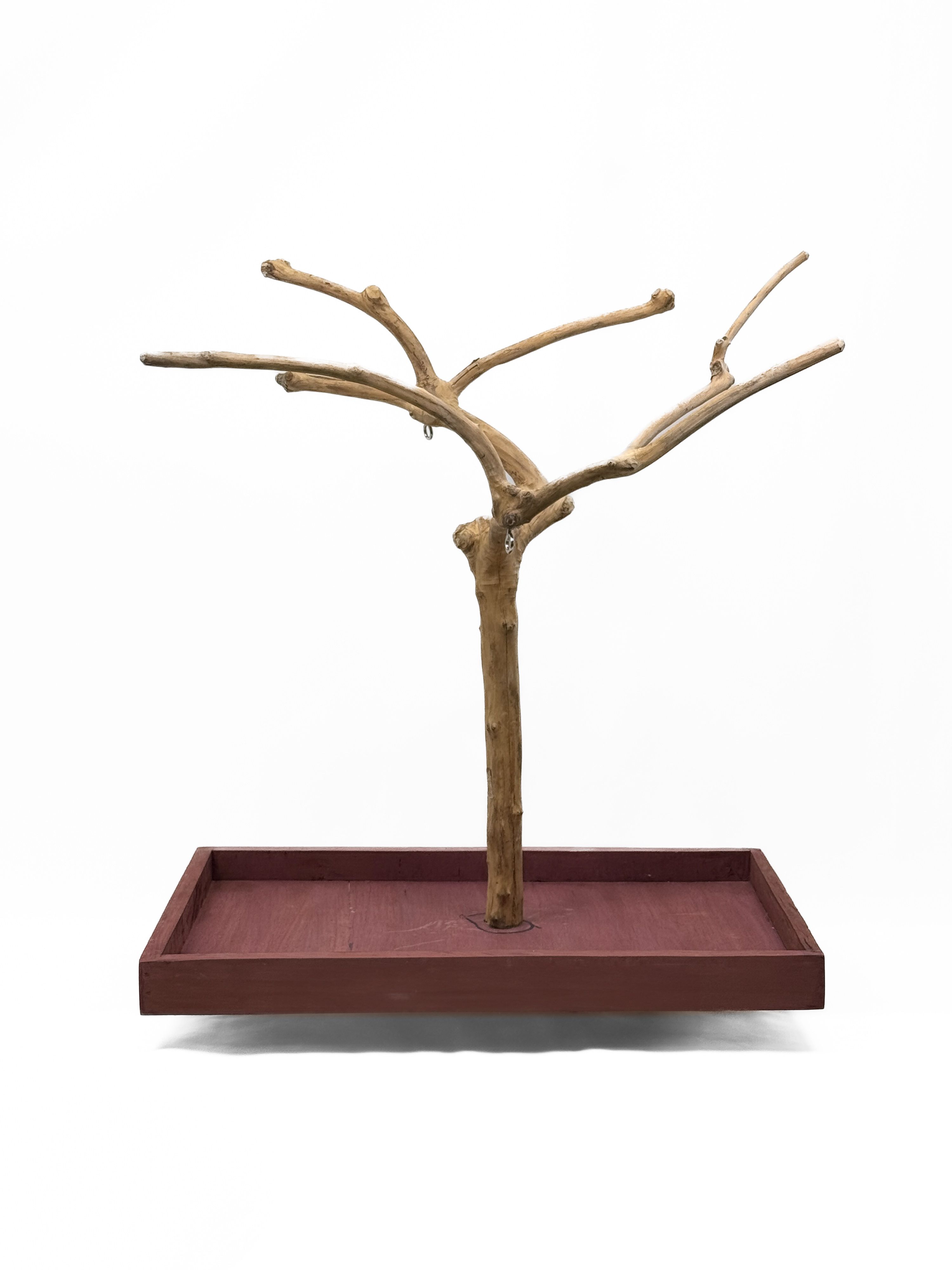 Tabletop Java Tree Activity Play Stand