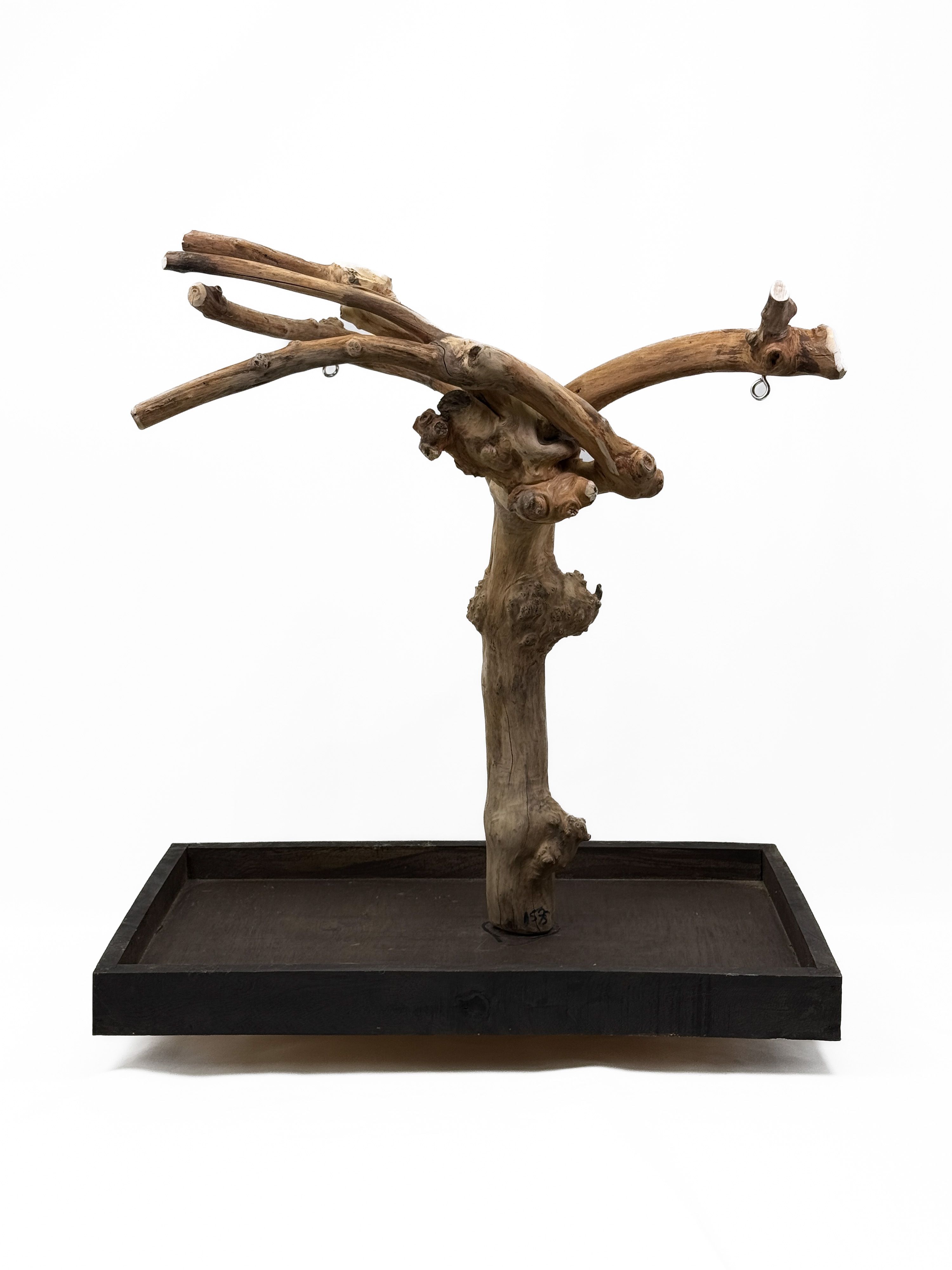 Tabletop Java Tree Activity Play Stand