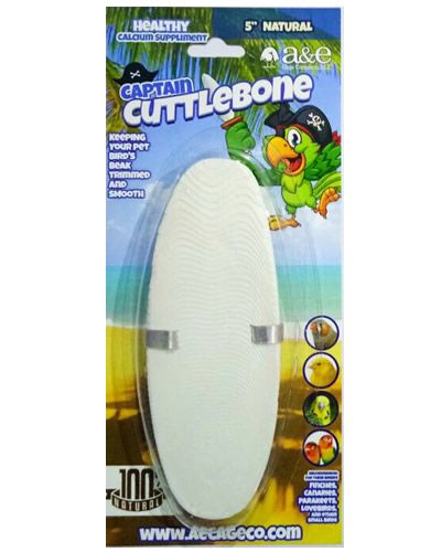 5" Natural Cuttlebone 1pk - Captain Cuttlebone