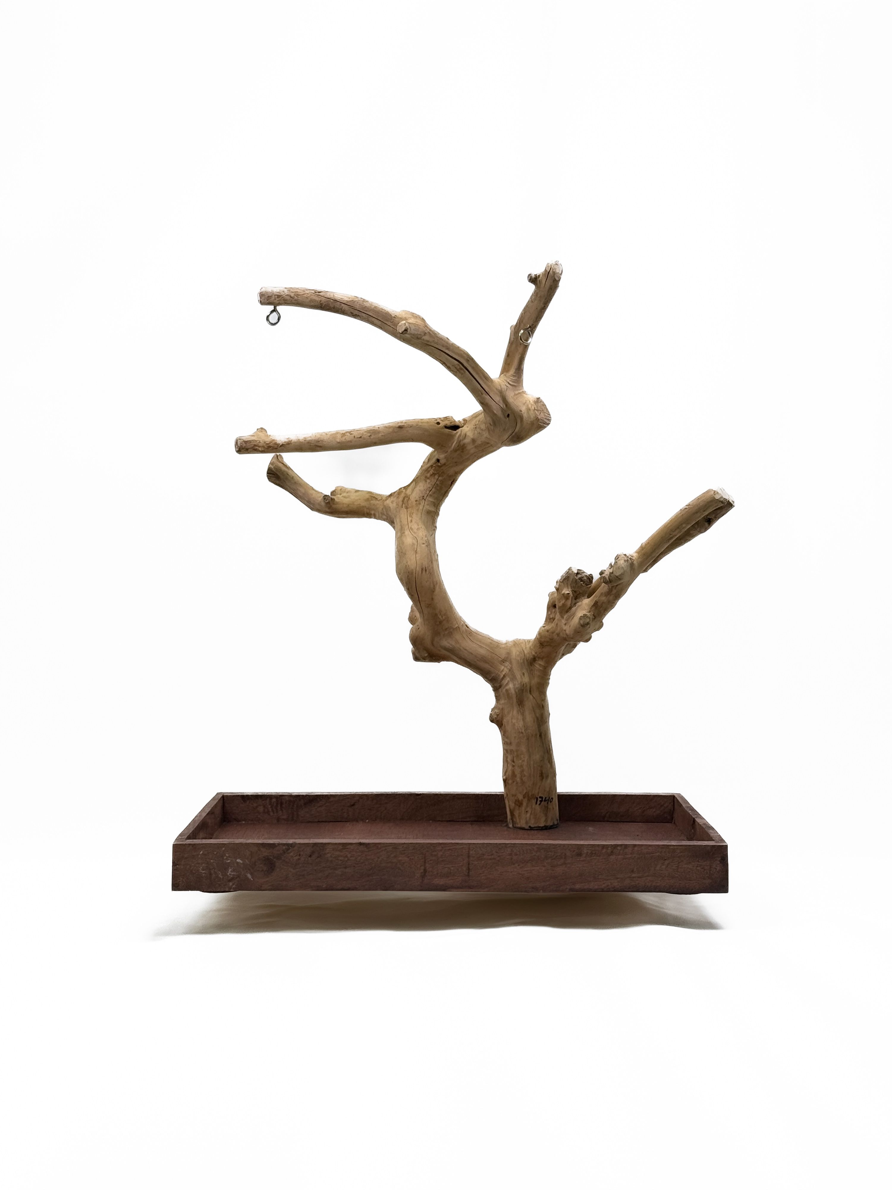 Tabletop Java Tree Activity Play Stand