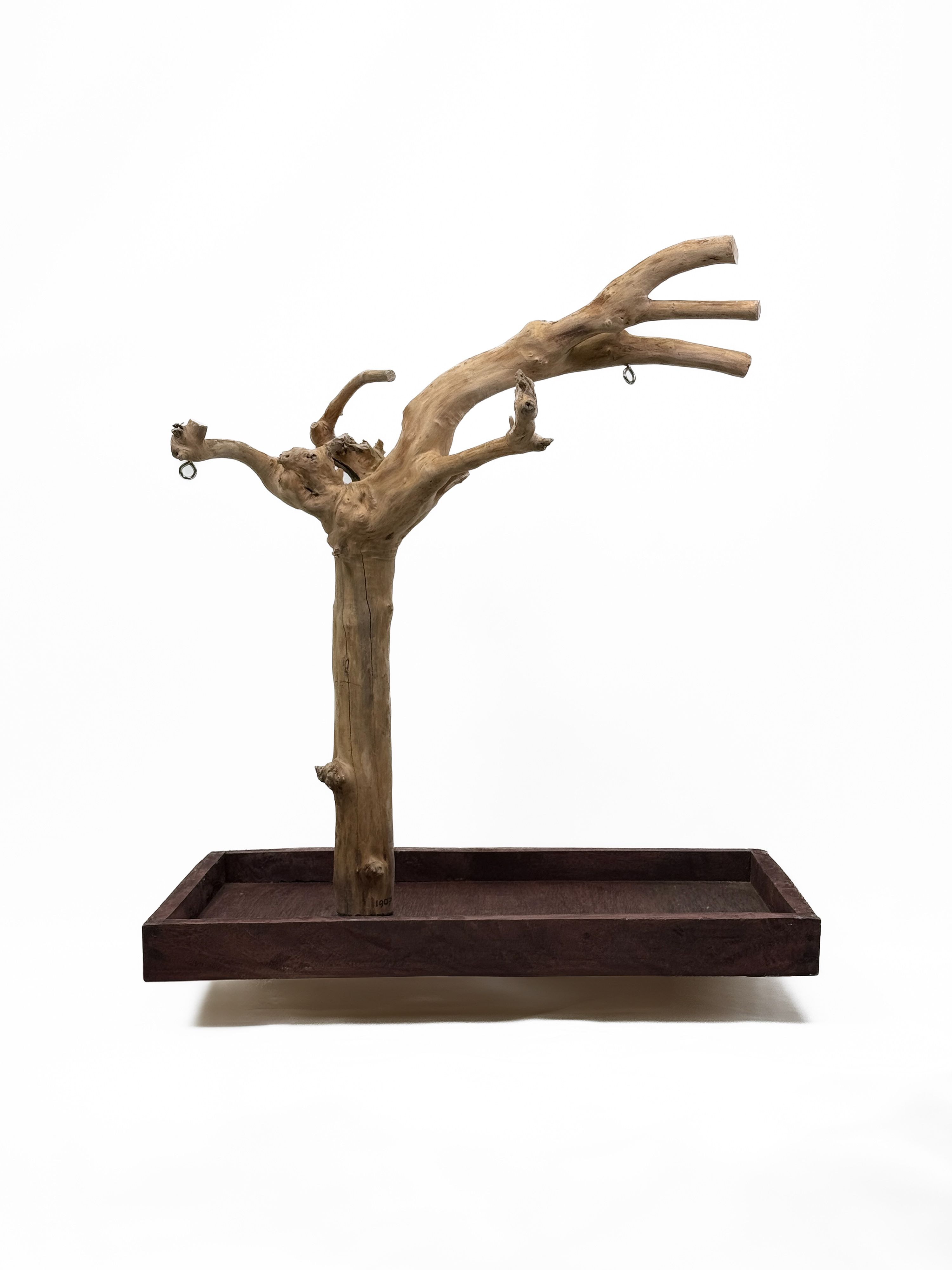 Tabletop Java Tree Activity Play Stand