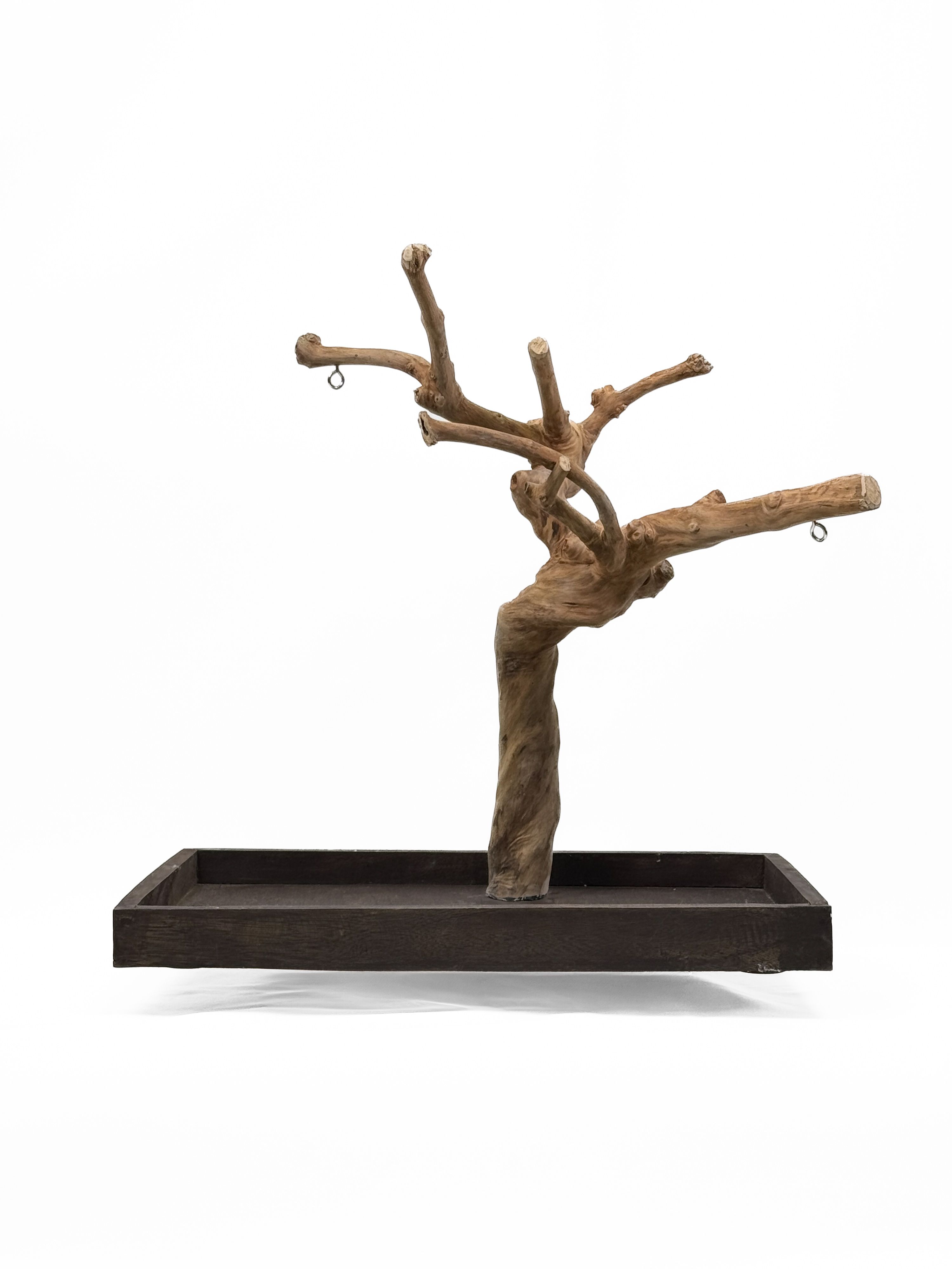 Tabletop Java Tree Activity Play Stand