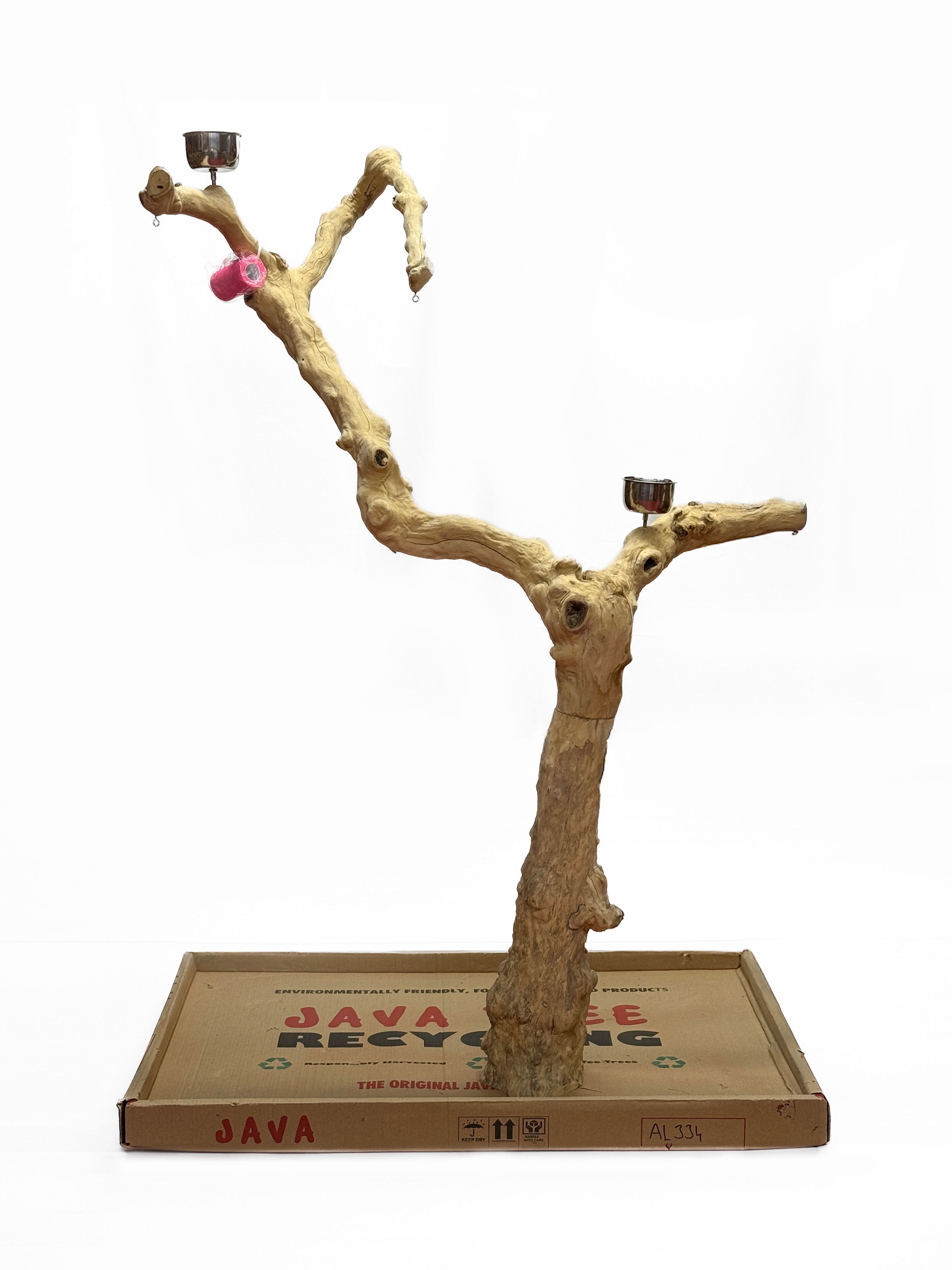Java Tree Bird Stand