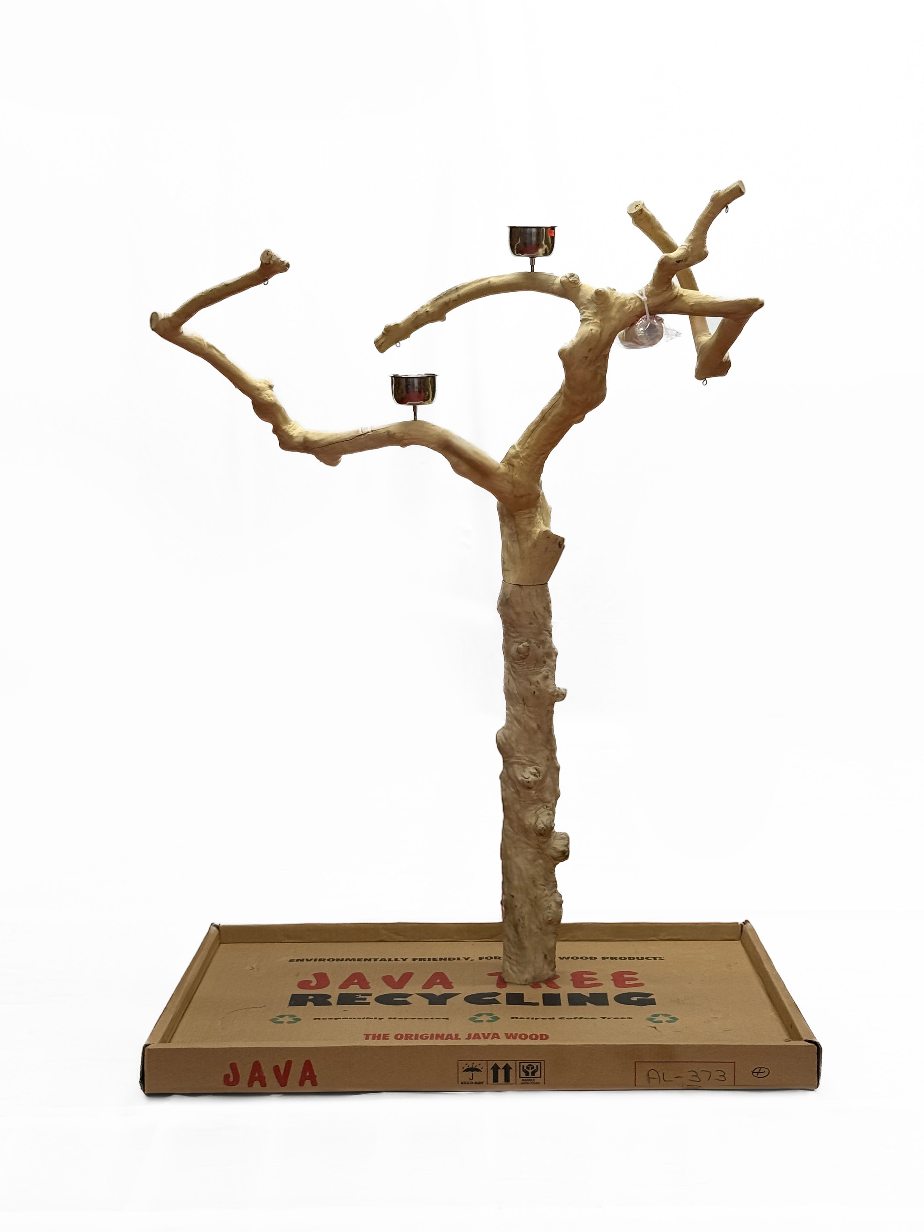Java Tree Bird Stand
