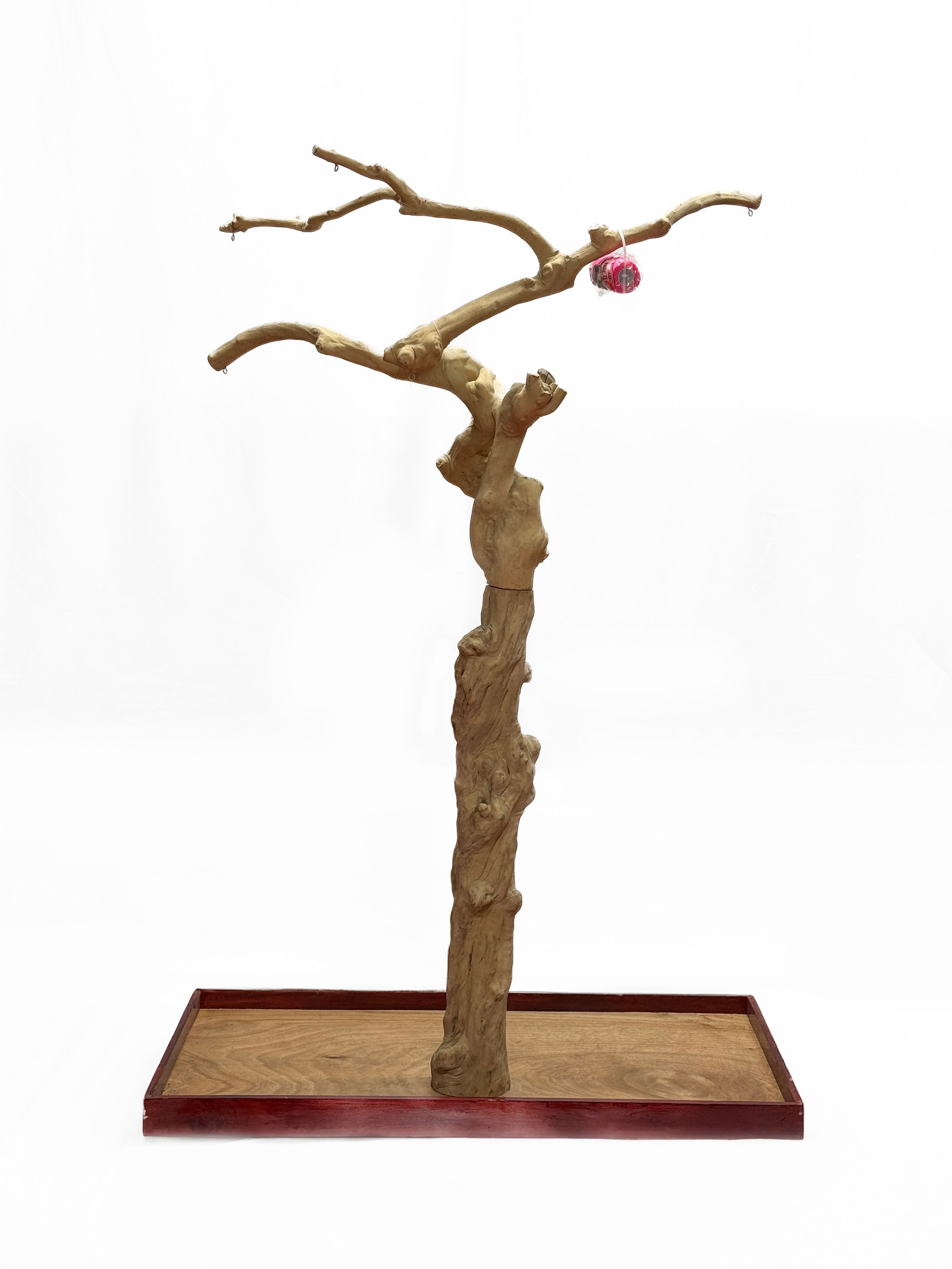 Java Tree Bird Stand