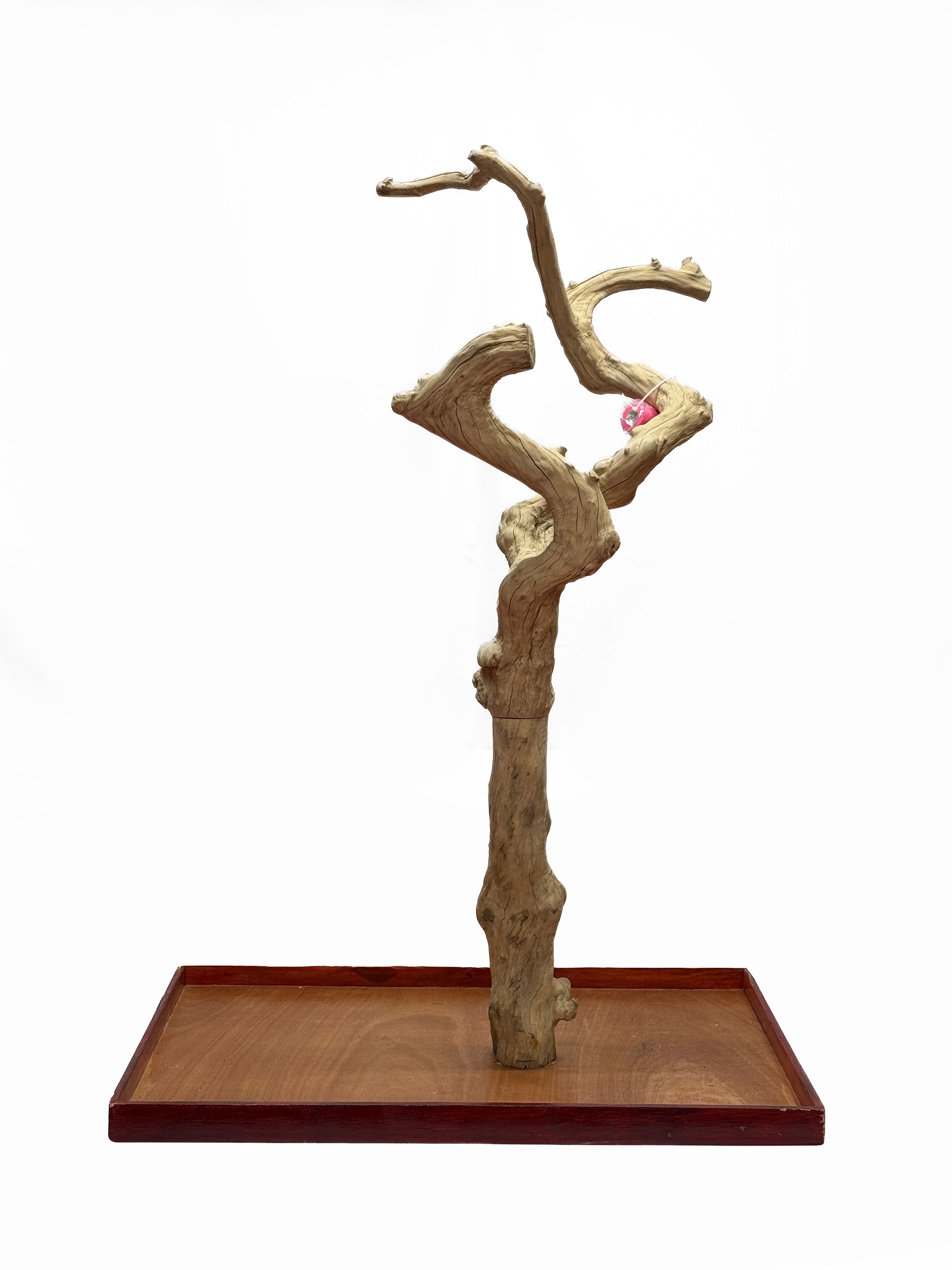 Java Tree Bird Stand