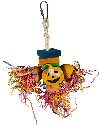 Shredded Pumpkin Medium - Happy Beaks 