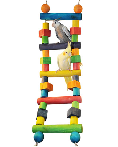 Sm Wood Bendable Ladder-Happy Beaks 