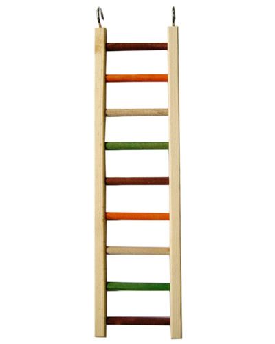 20" Bird Ladder