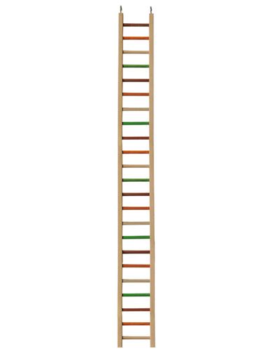 49" Bird Ladder