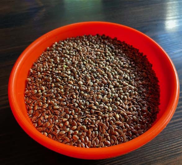 Jumpstart Grey Millet - Harrison's