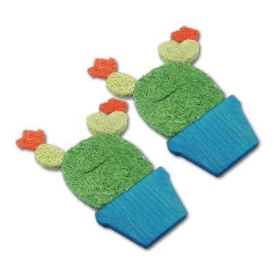 Loofah Potted Cactus - A&E Nibbles