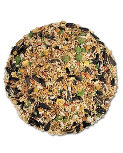 Vita Cockatiel/Lovebird Bulk-Sun Seed 