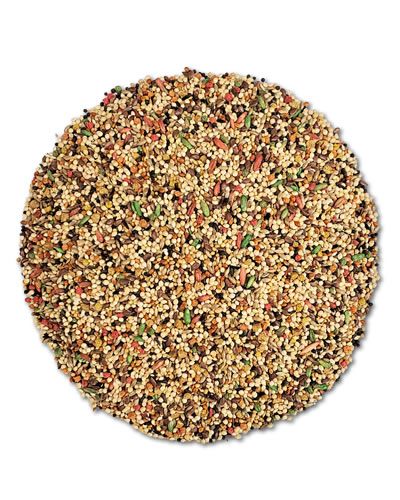 Vita Finch Bulk-Sun Seed 