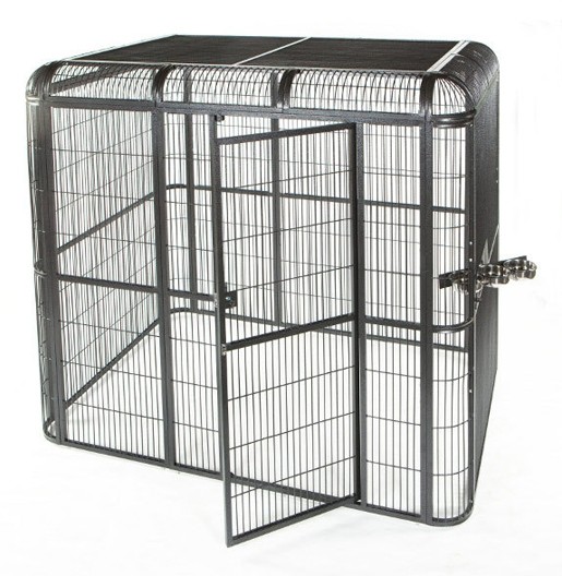 62 "x 62" Black Walk In Aviary - A&E Cage Co