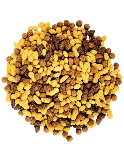 17.5lb NutBlend Flavor-Zupreem 