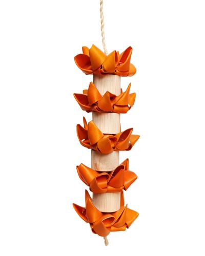 Hot Flames (S) - Happy Beaks 