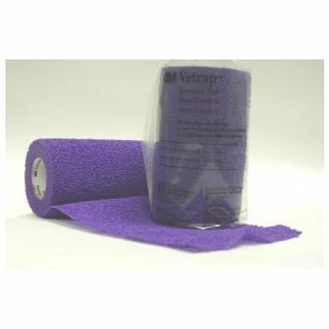 297690 - Purple 00013