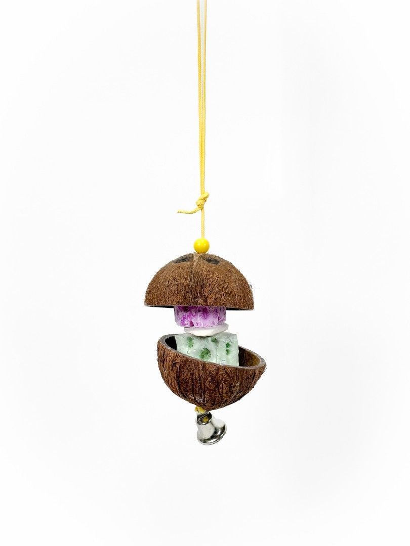  Coconut Hut Chew Toy - Polly's 