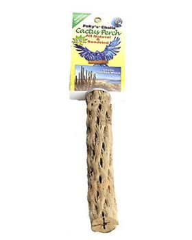 Md Cholla Cactus Perch - Polly's